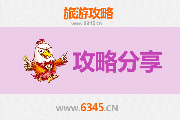 庆阳环县至湄洲岛旅游攻略：跟团还是自由行？资深博主深度解析
