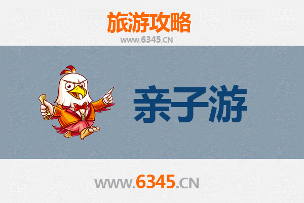 庆阳环县亲子游：探索黄土风情，共度温馨时光