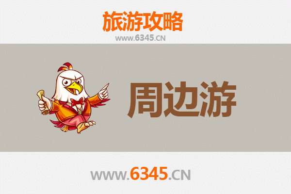 庆阳环县周边2-3日短途游：黄土高原风情与历史遗迹探索