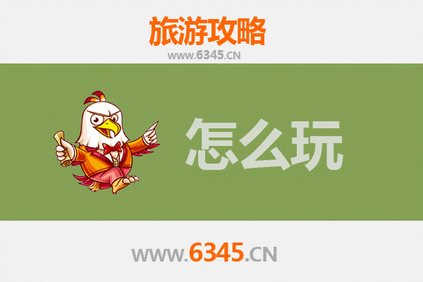 节假日畅游庆阳环县：黄土风情与历史文化的深度体验