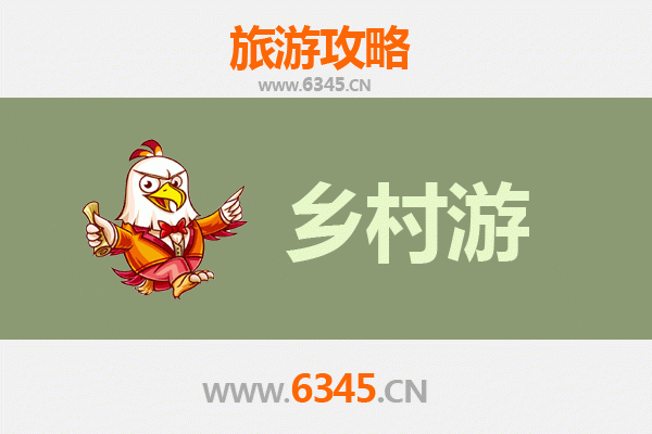 庆阳环县乡村旅游精品线路推荐：探秘陇东黄土风情，品味非遗民俗之旅